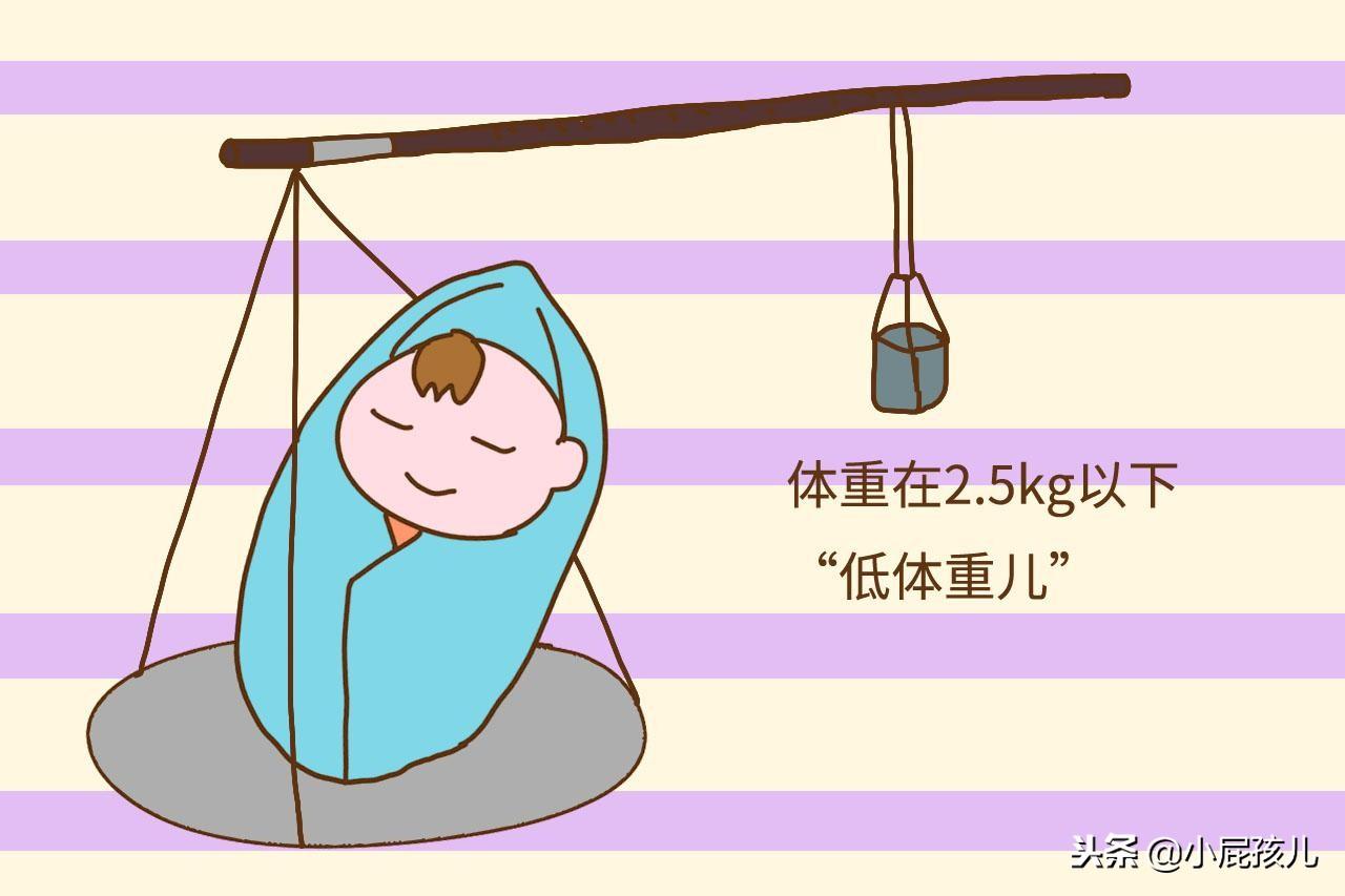 怎么算命几斤几两命-女孩出生几斤几两最好