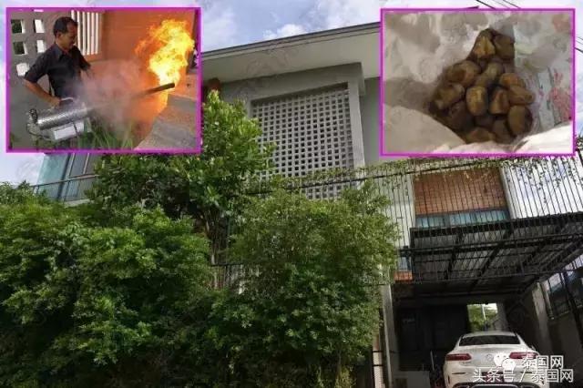 开车压到蛇有什么预兆 是吉是凶-太子洗马是个怎么样的职务