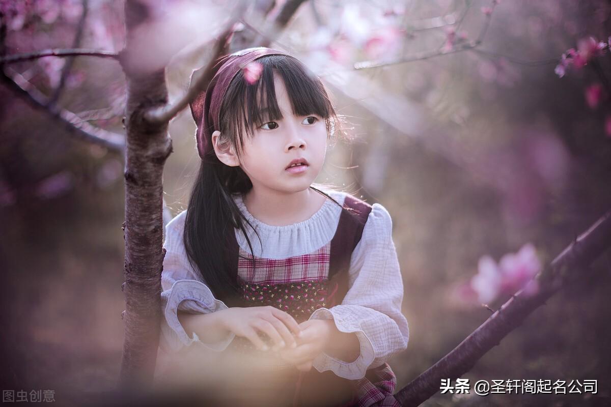 2022虎宝宝名字大全 怎样取名可以促运-泽琳取名的寓意