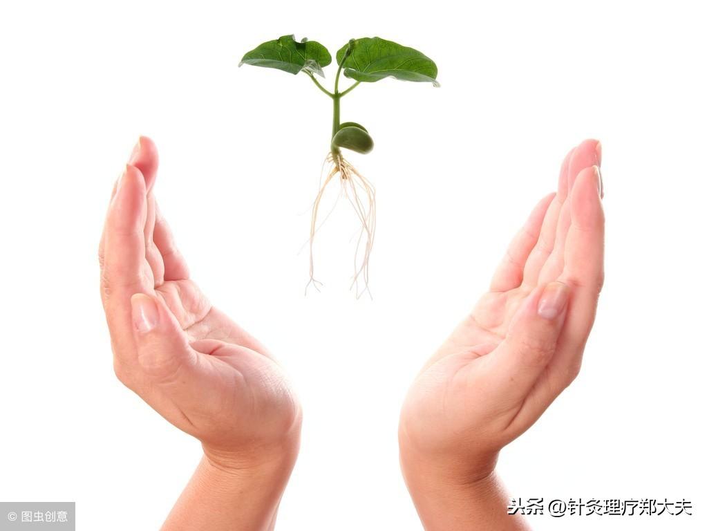 上帝也算命-那么活着有什么意义