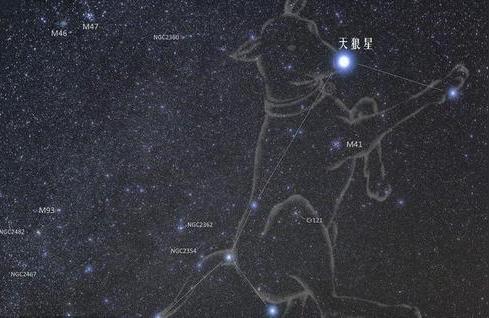 天狼星在紫薇斗数天狼是指什么